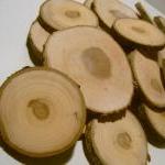 75 Top Drilled Branch Slices 2 To 3 Inch