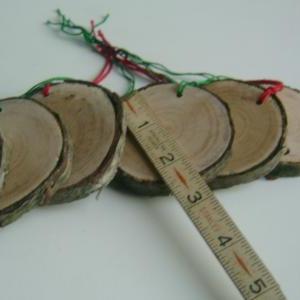 10 Tree Branch Ornaments