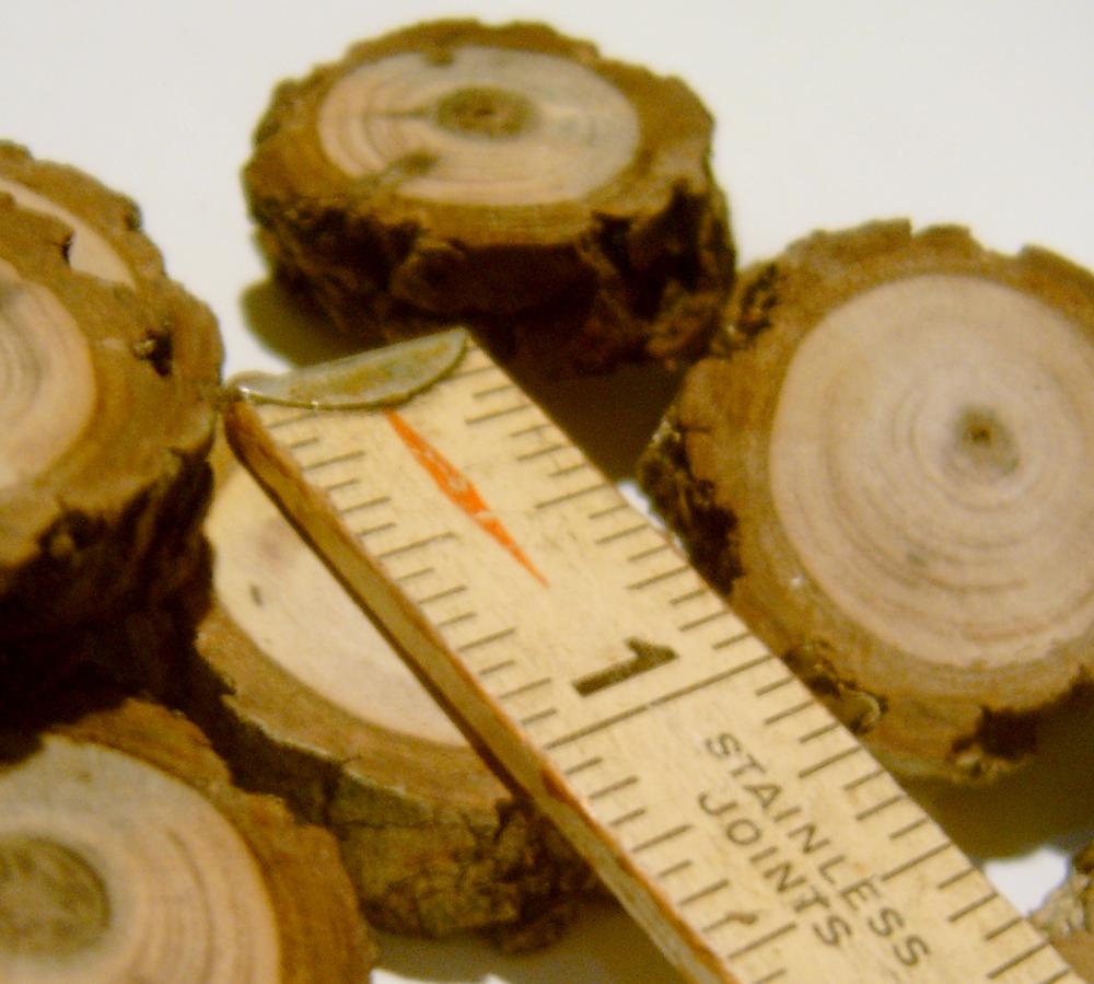 6 1 Inchtree Branch Slices Small Wooden Disc Black Walnut